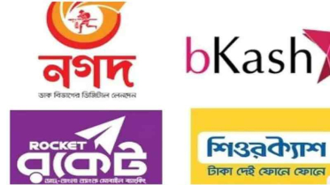 বিকাশ, নগদ, রকেটসহ এমএফএসের সেবার মান দেখছে বাংলাদেশ ব্যাংক