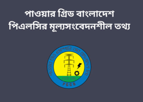 পাওয়ার গ্রিড বাংলাদেশ পিএলসির মূল্যসংবেদনশীল তথ্য
