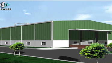 বাড়ছে লোকসান, তবু দৌড়াচ্ছে ডমিনেজের শেয়ারদর!