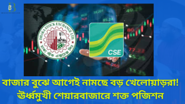 বিএনপি নেতাদের শেয়ারে উত্থান, জামায়াত–সংশ্লিষ্ট কোম্পানিতে ধস