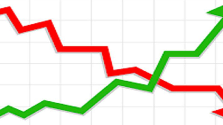 সূচক বড় পতনেও ব্যতিক্রম ৬ কোম্পানি, বিক্রেতা সংকটে হল্টেড কয়েকটি