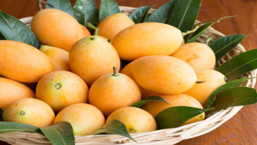 রাজশাহী-নওগাঁর আম কবে বাজারে?