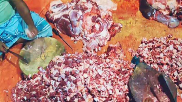 কোরবানির মাংস কাটার পর হাতে গন্ধ? দূর করবেন যেভাবে কোরবানির মাংস কাটার পর হাতে গন্ধ? দূর করবেন যেভাবে